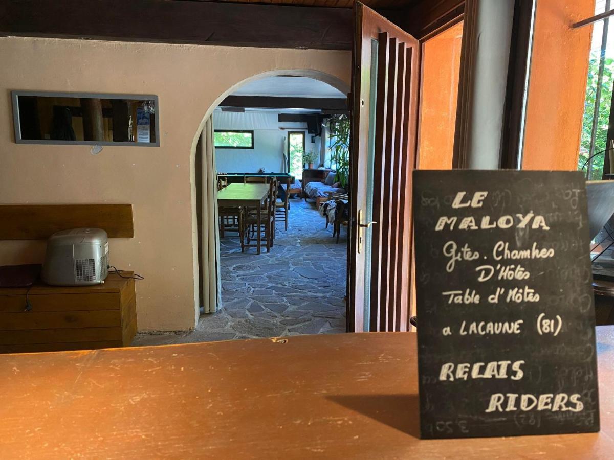 "Le Maloya" Chalets Independants -Chambre Balneo - Relais Motards ラコーヌ エクステリア 写真