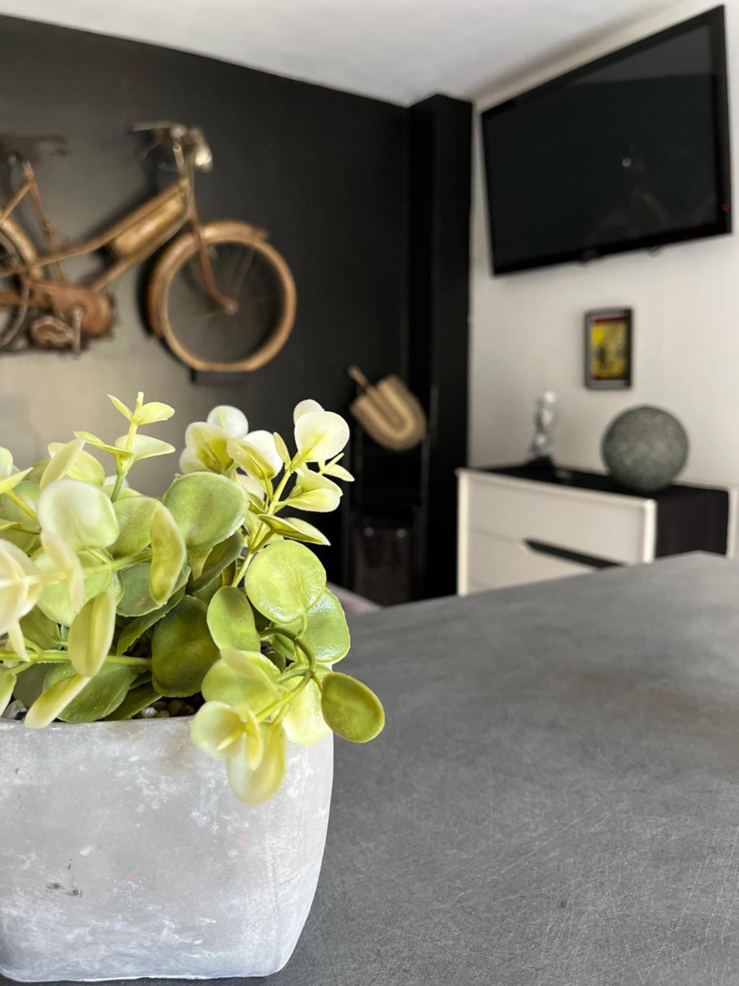"Le Maloya" Chalets Independants -Chambre Balneo - Relais Motards ラコーヌ エクステリア 写真