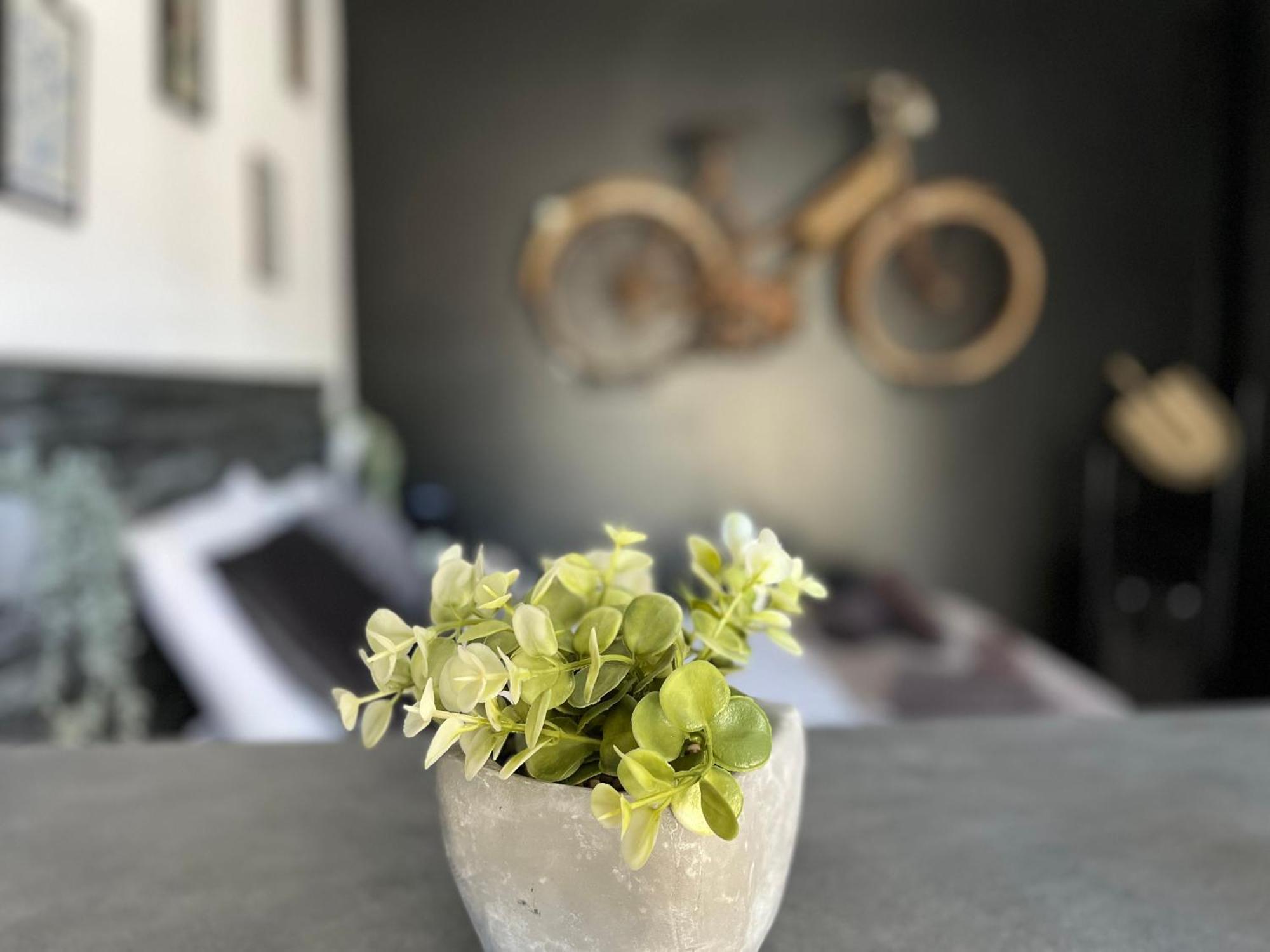 "Le Maloya" Chalets Independants -Chambre Balneo - Relais Motards ラコーヌ エクステリア 写真